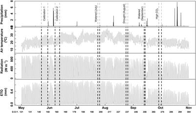 Whole-Plant Water Use in Field Grown Grapevine: Seasonal and Environmental Effects on Water and Carbon Balance